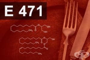 E471 - Моно- и диглицериди на мастни киселини (Monodi glycerides of fatty acids)