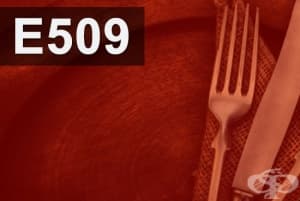 E509 - Калциев хлорид (Calcium chloride)