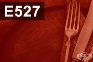 E527 - Амониев хидроксид (Ammonium hydroxide)