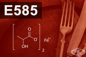 E585 - Железен лактат (Ferrous lactate)