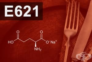 E621 - Мононатриев глутамат (Monosodium glutamate (MSG))