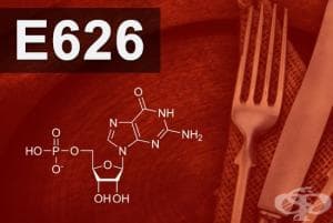 E626 -   (Guanylic acid)