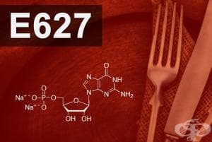 E627 - Динатриев гуанилат (Disodium guanylate)
