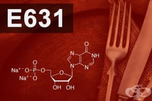 E631 - Динатриев инозинат (Disodium inosinate)