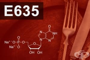 E635 - Динатриев 5-рибонуклеотид (Disodium 5-ribonucleotide)