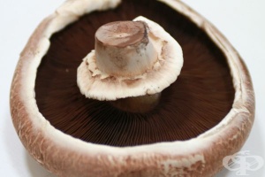 ���� ���������