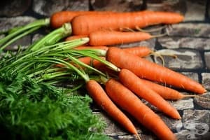 Моркови (оранжеви) - състав, полезни свойства и вреда при прекалена консумация