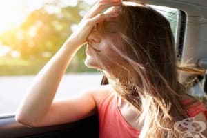 5 храни, които могат да предотвратят гаденето по време на пътуване