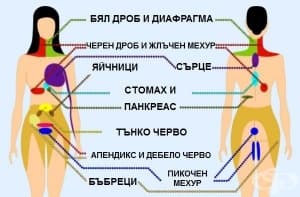 9 вида референтна болка, която може да бъде опасна, ако се игнорира