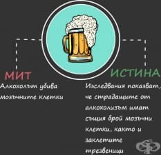 14 популярни мита за храненето, разбити от науката