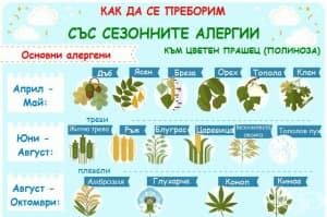 Как да се справим със сезонните поленови алергии (инфографика)