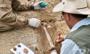От кога датира първият случай на рак в историята и какво знаем за него