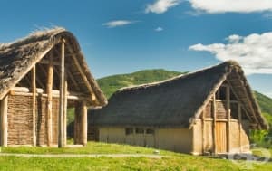 Защо преди 8 000 години хората в България са яли кости и дали това е вид канибализъм