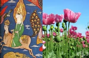 Упойващите вещества в ислямския свят – част 1