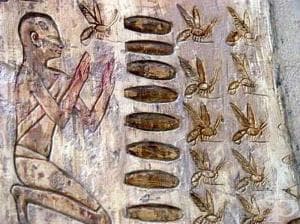 �������� �� �������� � ������ ����� 3100 � ��. ��.