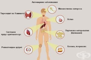 Хранене при автоимунни заболявания (Автоимунен протокол)