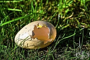 Черупката на кокошето яйце - природен лечител!