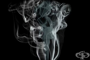 ���� 1 �� 3-�� �������� � ������� ����� �� ����