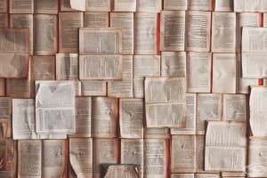12 факта, които любителите на книги споделят
