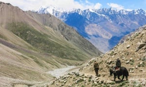 Любопитни факти, които вероятно не знаете за Афганистан