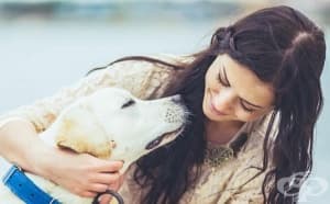 7 неочаквани неща, които кучетата могат да надушат