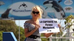 Памела Андерсън протестира в защита на животните пред френски аквапарк
