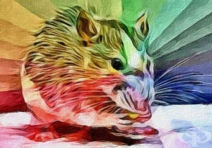 Притча за мишия капан