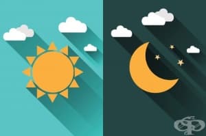 Каква е разликата между ранобудните чучулиги и нощните сови?