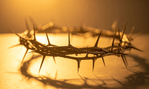 ��������� �� ������������ ������: ��� ��������� ���� �� ������ �� �������� �������� 