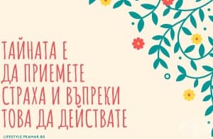 Същността на "Тайната" и вдъхновяващи цитати от известната книга