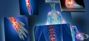 ����� ����������