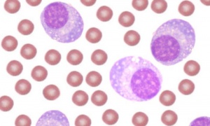 �������������� ��������