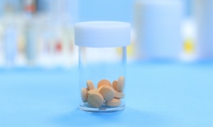 ����������������� ��������