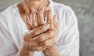 ������������� ����������� ������