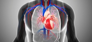 ������� �� �������� ���� [Takayasu]