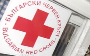 12 младежи се включиха в проекта "Изкуството срещу насилието" в Кюстендил