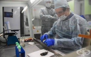 В Русия започват тестове върху трансгенни мишки на ваксина срещу COVID-19