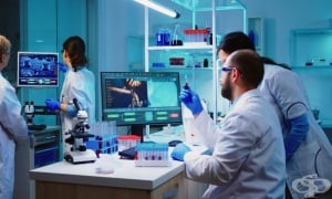 Ракът на гърдата може да бъде победен с лекарства, които предизвикват клетките да се самоунищожават