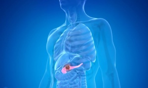 ��������-��������� ������� �������������� �� ������ � ��� �� ���������