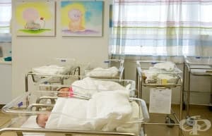 Антирекорд по раждаемост за първите 6 месеца от 2017 година