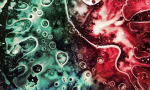 �������� �� ������� �� ������� �������� ���� ����� ������