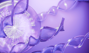 ��������� �����������, ����� ��������� �������� �� ����