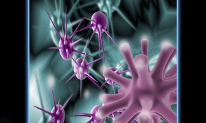 CAR-T �������� ������� ��������� ��� ���������� �����������