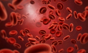 ��������� ������ ����� ����� �� ������ �� ������ ��������� ��������