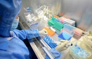 Две експериментални ваксини срещу Ебола показват обещаващи резултати