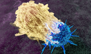 ������������ ���� �� ������� ������� ������