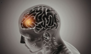 ������� ���������� ������������ ���� ������ ���� ������������� �� ������������� �������