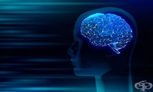 Българското общество знае критично малко за инсулта