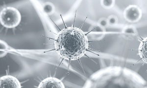 � ��������� � ����������� ������� ������ �� ������ ����