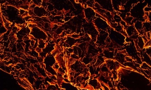 ������ �� �������� � ������������ � ���� ��� ��� ������